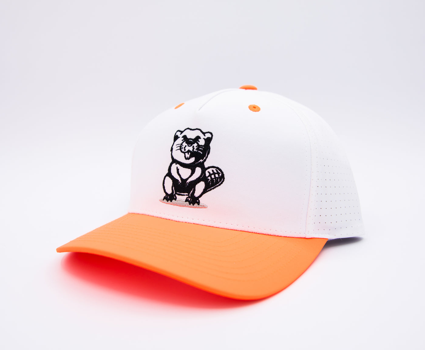 Beaver Paseo